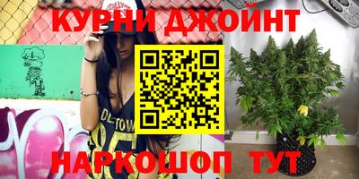 бошки Боровичи