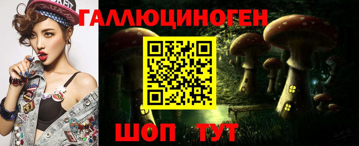 Галлюциногенные грибы прущие грибы  Вход с VPN  Горячий Ключ 
